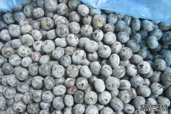 藍莓能不能冷凍保存