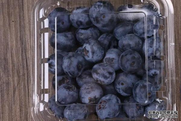 藍莓能不能冷凍保存