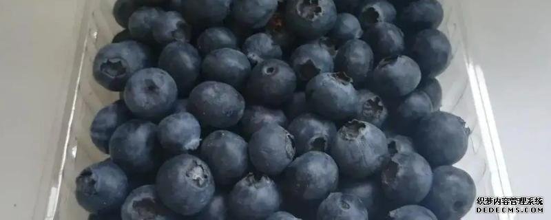 藍莓能不能冷凍保存