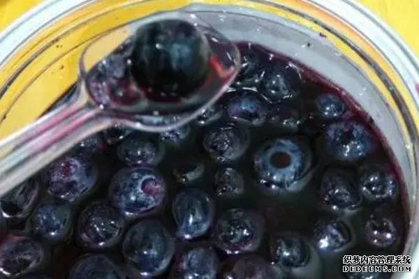 藍莓能不能冷凍保存