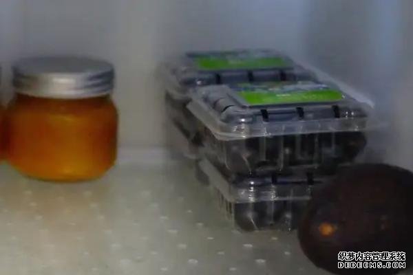 藍莓能不能冷凍保存