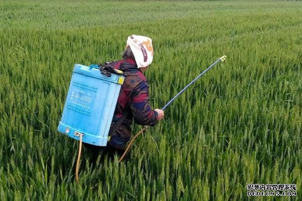 噻菌銅不能和哪些農(nóng)藥混用