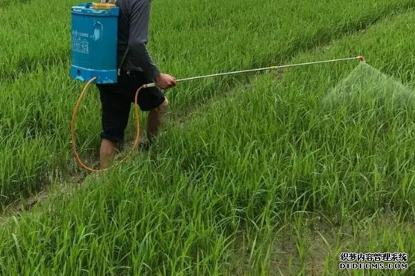 噻菌銅不能和哪些農(nóng)藥混用