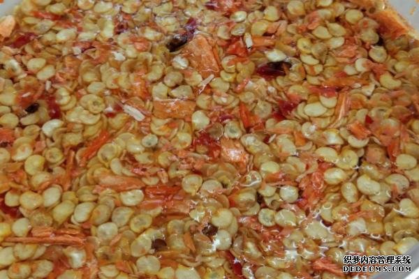 工業(yè)辣椒如何種植及管理