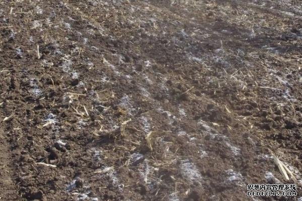 熟石灰能不能改良酸性土壤