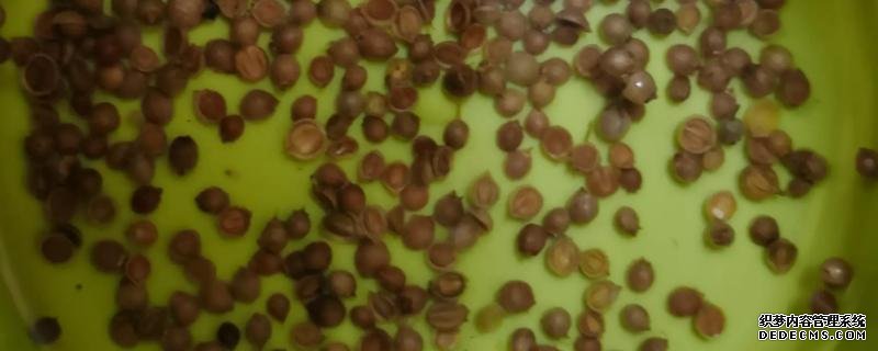 蔬菜生產(chǎn)中為何常使用溫湯浸種