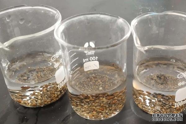 蔬菜生產(chǎn)中為何常使用溫湯浸種