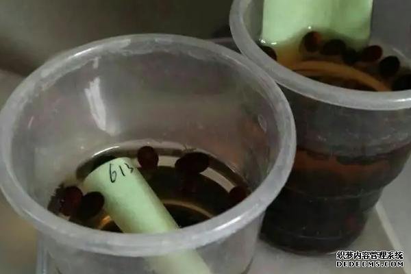 蔬菜生產(chǎn)中為何常使用溫湯浸種