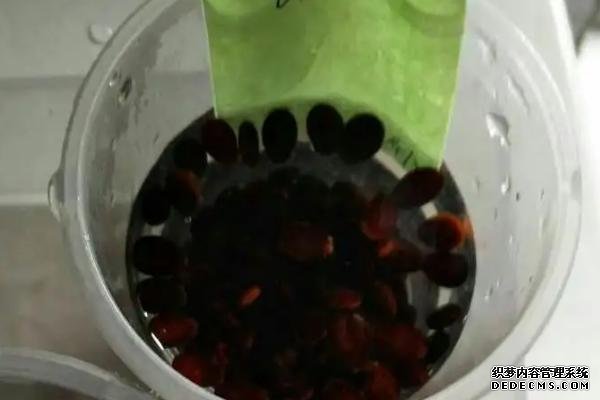 蔬菜生產(chǎn)中為何常使用溫湯浸種