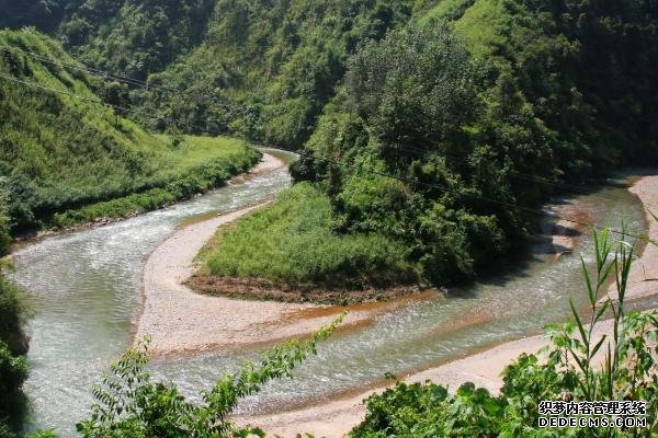 河南的農(nóng)作物有哪些