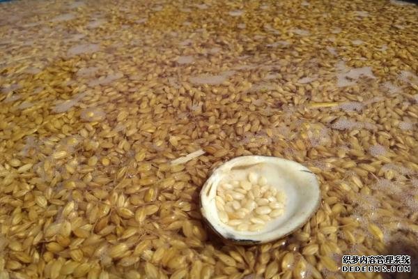 鉬酸銨有哪些農(nóng)業(yè)用途