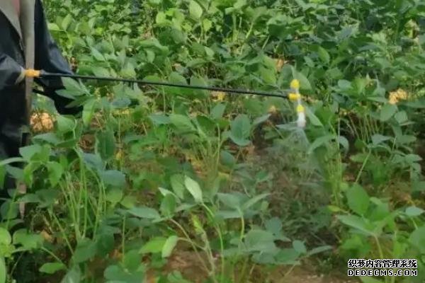 鉬酸銨有哪些農(nóng)業(yè)用途