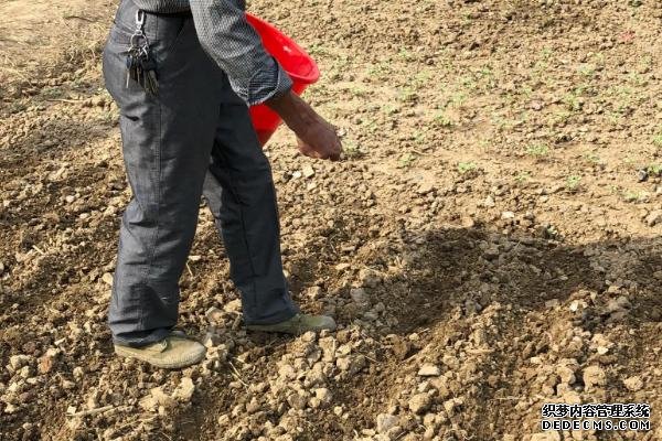 鉬酸銨有哪些農(nóng)業(yè)用途